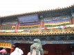 RIMG0619