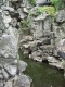 RIMG0085