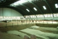 RIMG0275