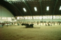 RIMG0276