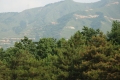RIMG0334