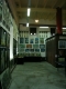 RIMG0205