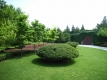 RIMG0232