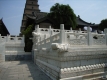 RIMG0238