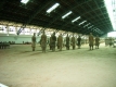 RIMG0277