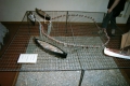rimg0778