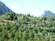 rimg0656