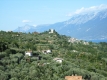 rimg0665
