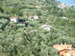rimg0674