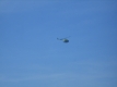 rimg0748