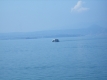 rimg0814