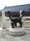 RIMG0367