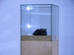 RIMG0996